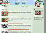 Розробка сайту компанії Брусвяна - розплідник плодово-ягідних саджанців