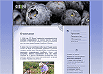 Website of great bilberry producer POE Flora